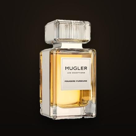 Fougère Furieuse